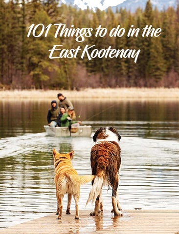 101 Things to do in the East Kootenay